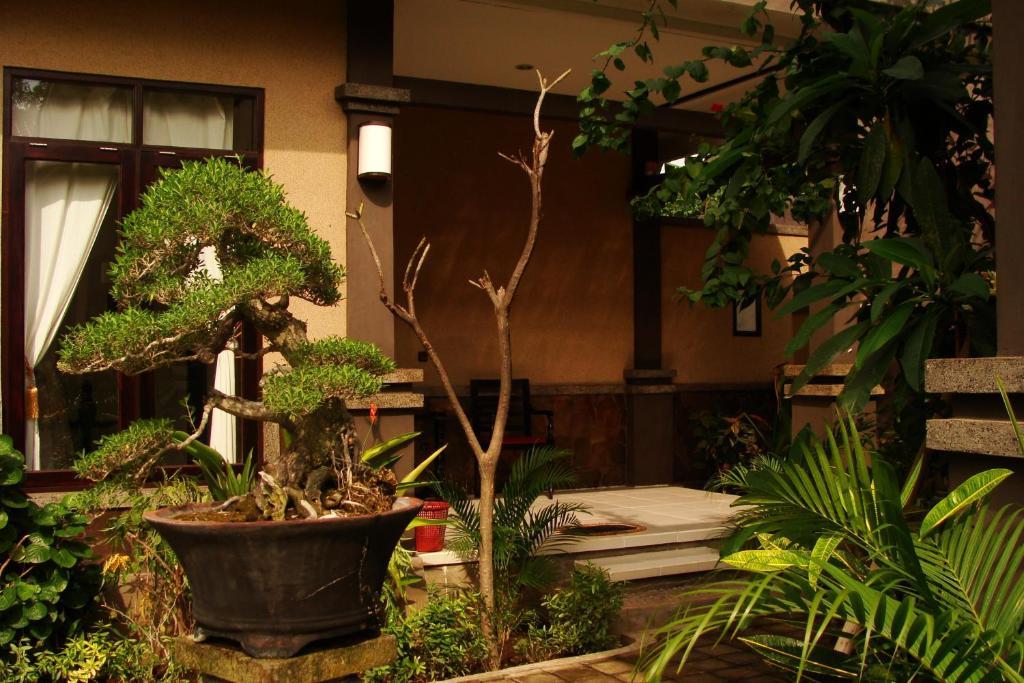 Doubleyou Homestay Pemuteran Ngoại thất bức ảnh